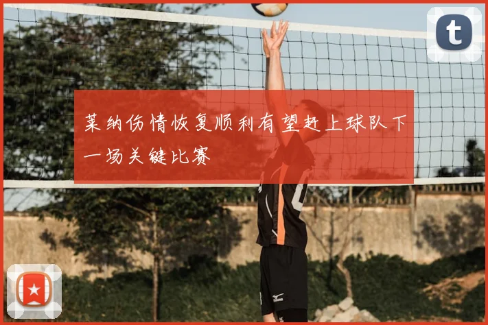 莱纳伤情恢复顺利有望赶上球队下一场关键比赛