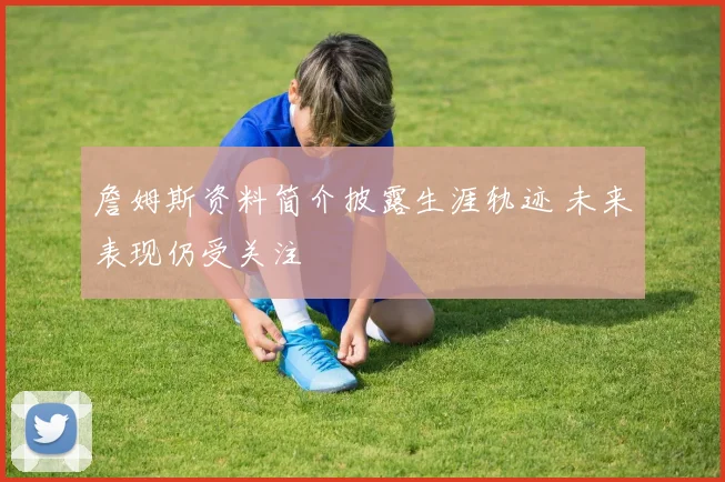 詹姆斯资料简介披露生涯轨迹 未来表现仍受关注