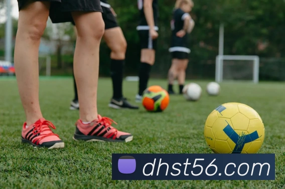 世界杯官方网络平台平台生态图